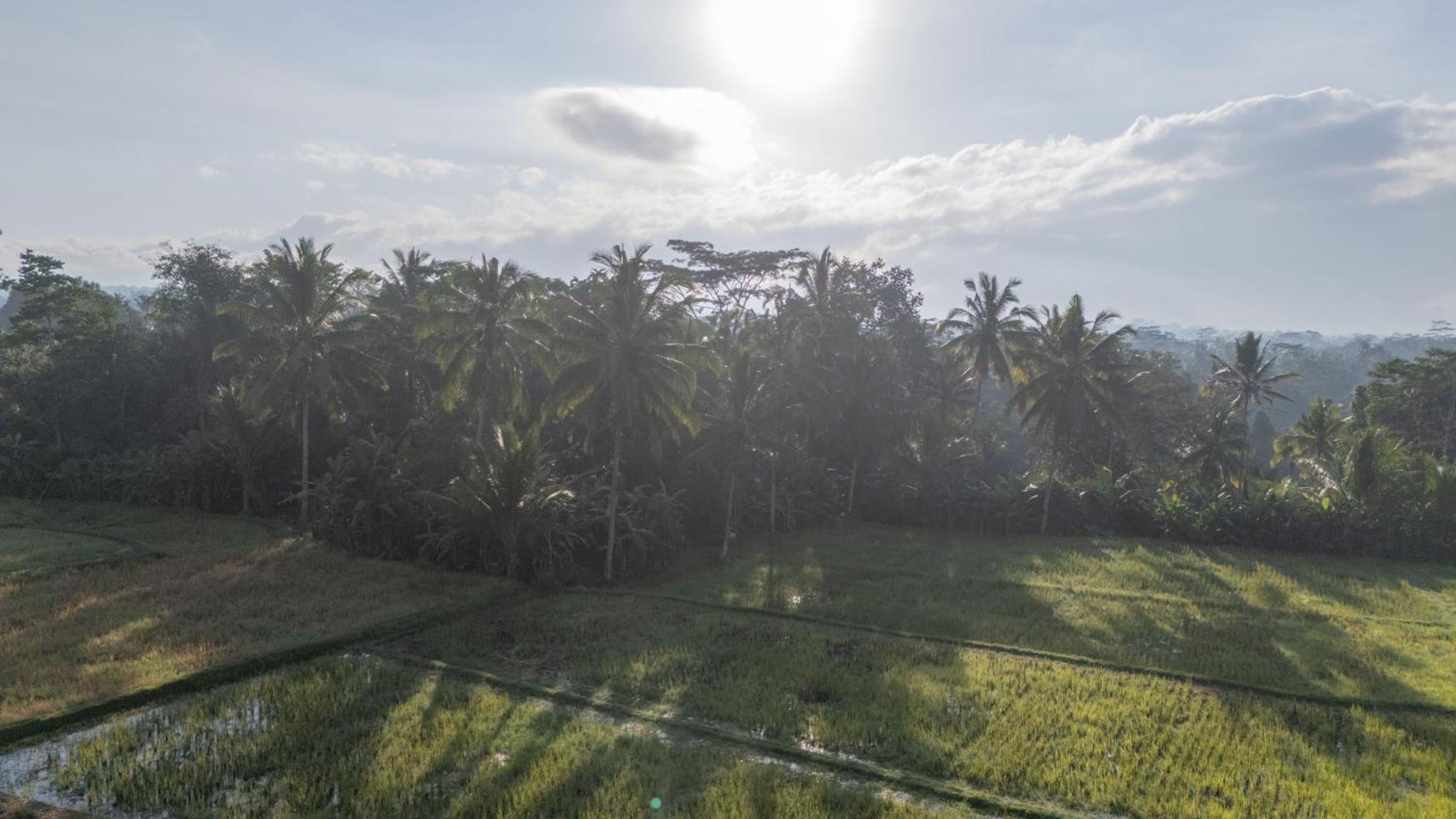 Aditara Sebatu Villa Ubud Eksteriør bilde