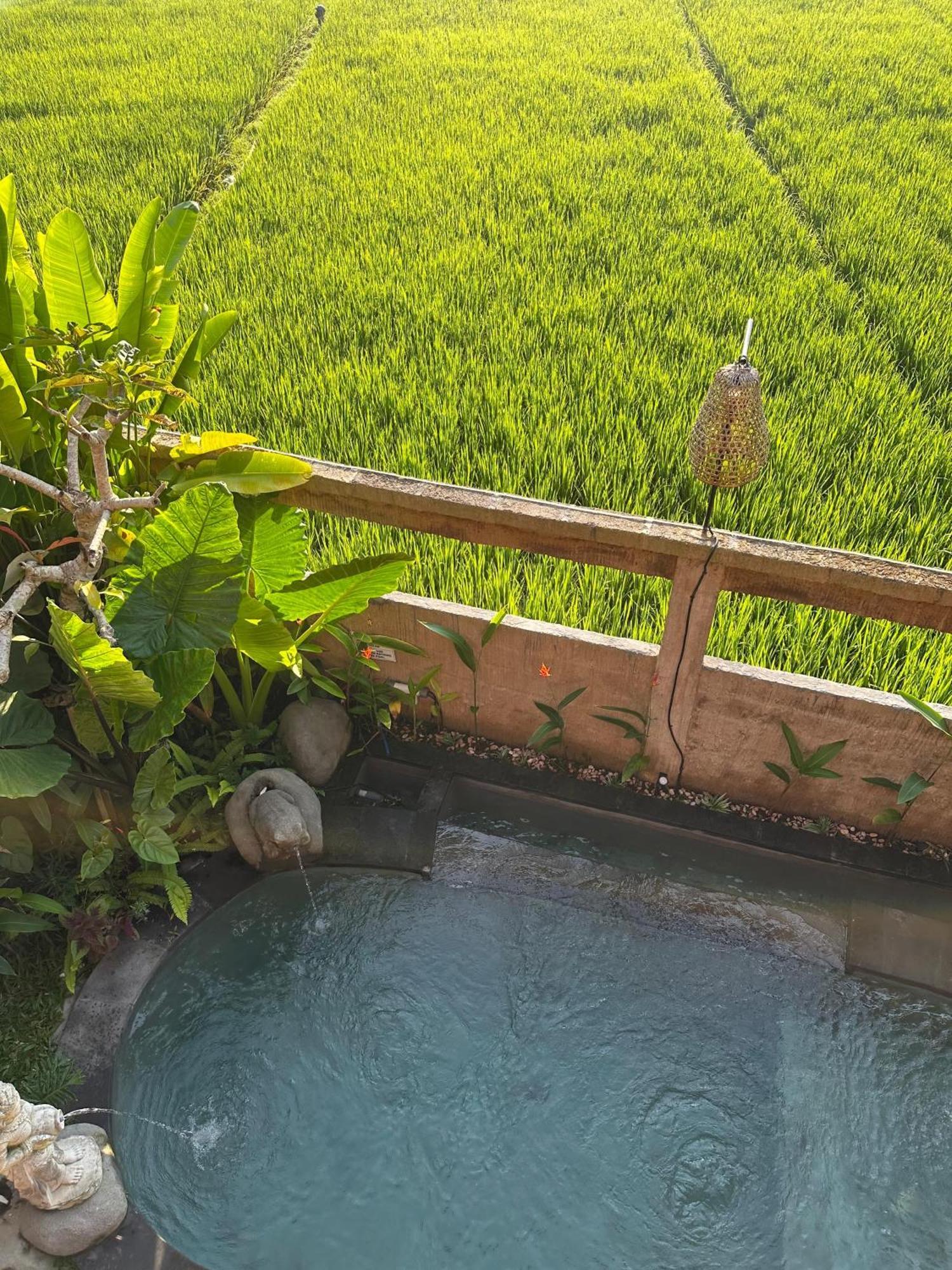 Aditara Sebatu Villa Ubud Eksteriør bilde