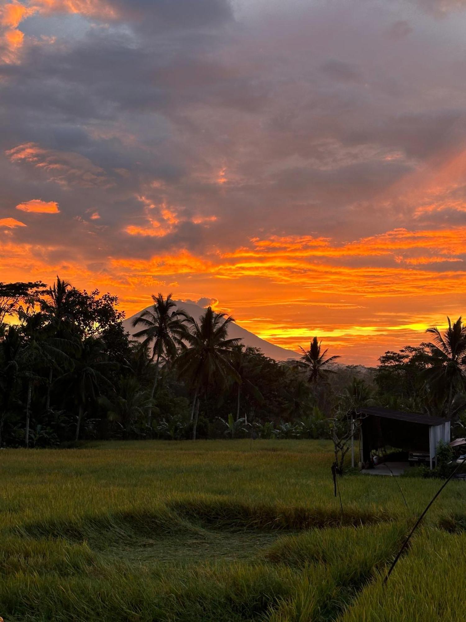 Aditara Sebatu Villa Ubud Eksteriør bilde